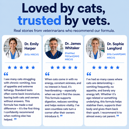 Add this to your cat’s food daily to help reduce vomiting and support a calmer, healthier stomach.