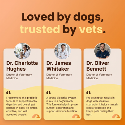 Paw Vitality® Premium Turkey Tail