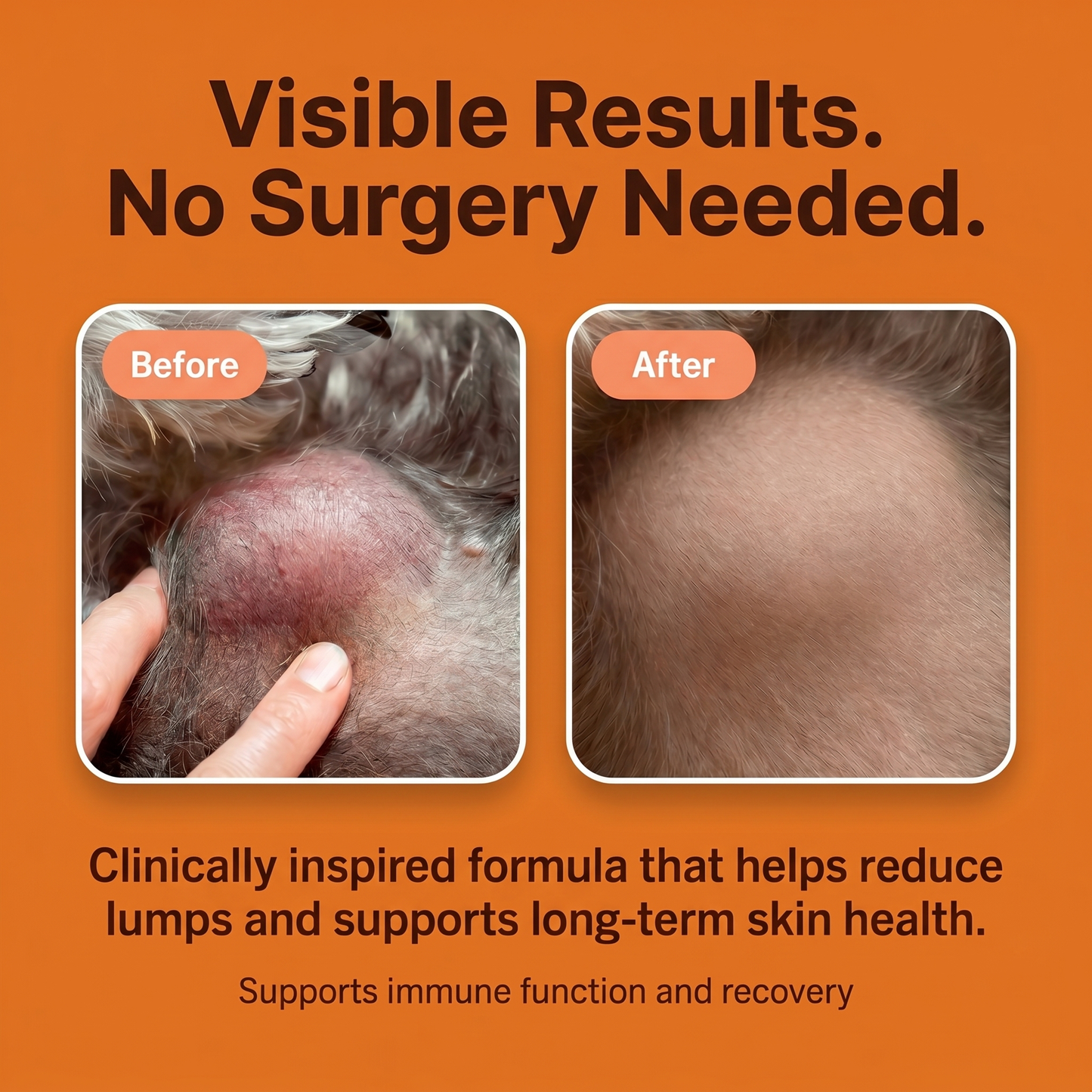 Paw Vitality® Premium Turkey Tail